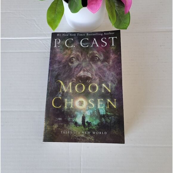 Moon chosen book  - Picture 2 of 6
